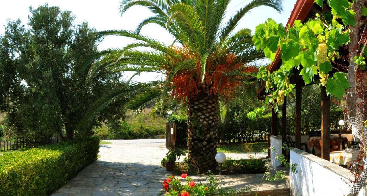 Aris Pension Ajia Paraskiewi Zewnętrze zdjęcie